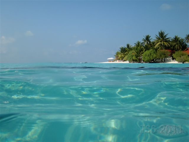 Maledivisches, Teil 2...