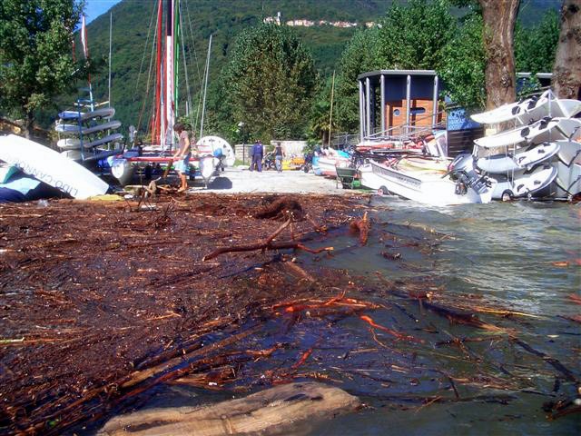 CIMG7901.JPG - Manchmal ist es wirklich lästig, dass Holz schwimmt...