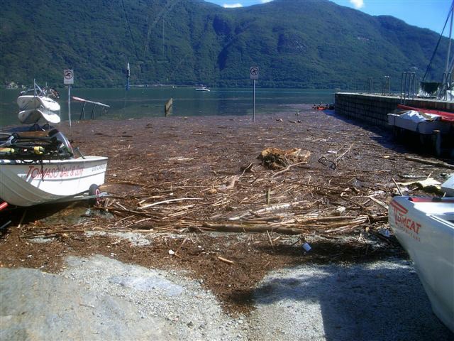 CIMG7906.JPG - Manchmal ist es wirklich lästig, dass Holz schwimmt...