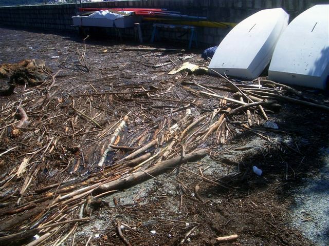 CIMG7907.JPG - Manchmal ist es wirklich lästig, dass Holz schwimmt...