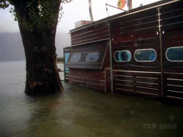 CIMG9017.JPG - Der Baum ist ursprünglich keine Wasserpflanze gewesen.