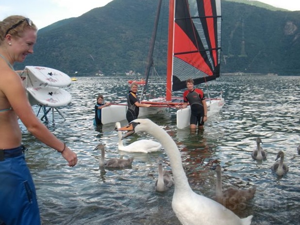 CIMG1579.JPG - Italienischer Schwan übt das schweizerische CHHHH...